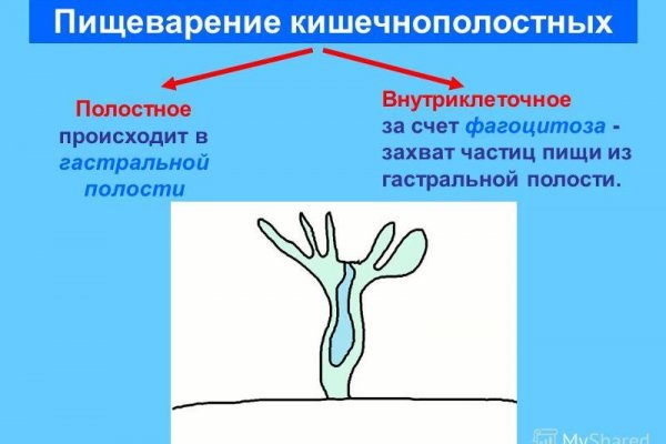 Кракен оригинальные ссылка в тор