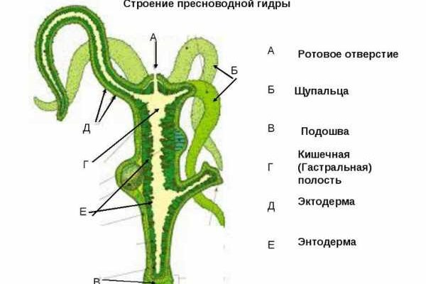 Почему не работает сайт кракен