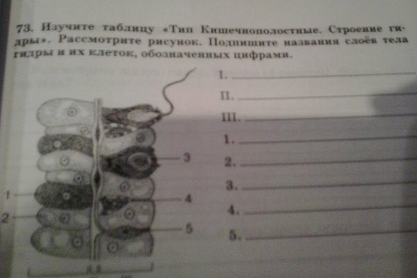 Кракен действующая ссылка